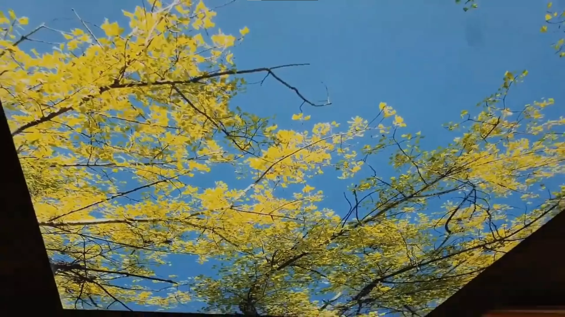 Владивосток, Казанская, 1, фото 2