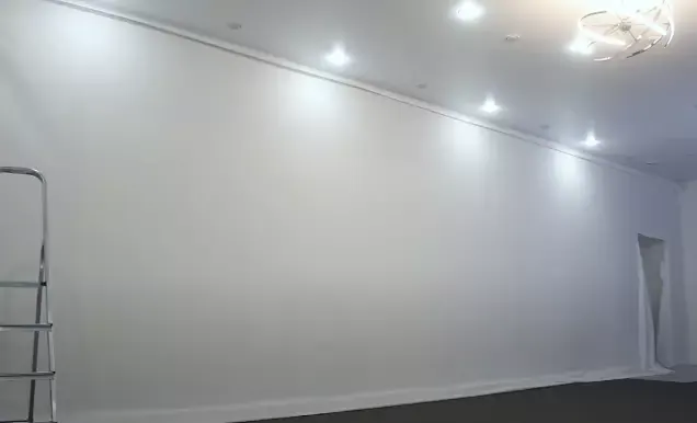 Натяжные стены белые — Рязань, Черновицкая, 7, фото 3